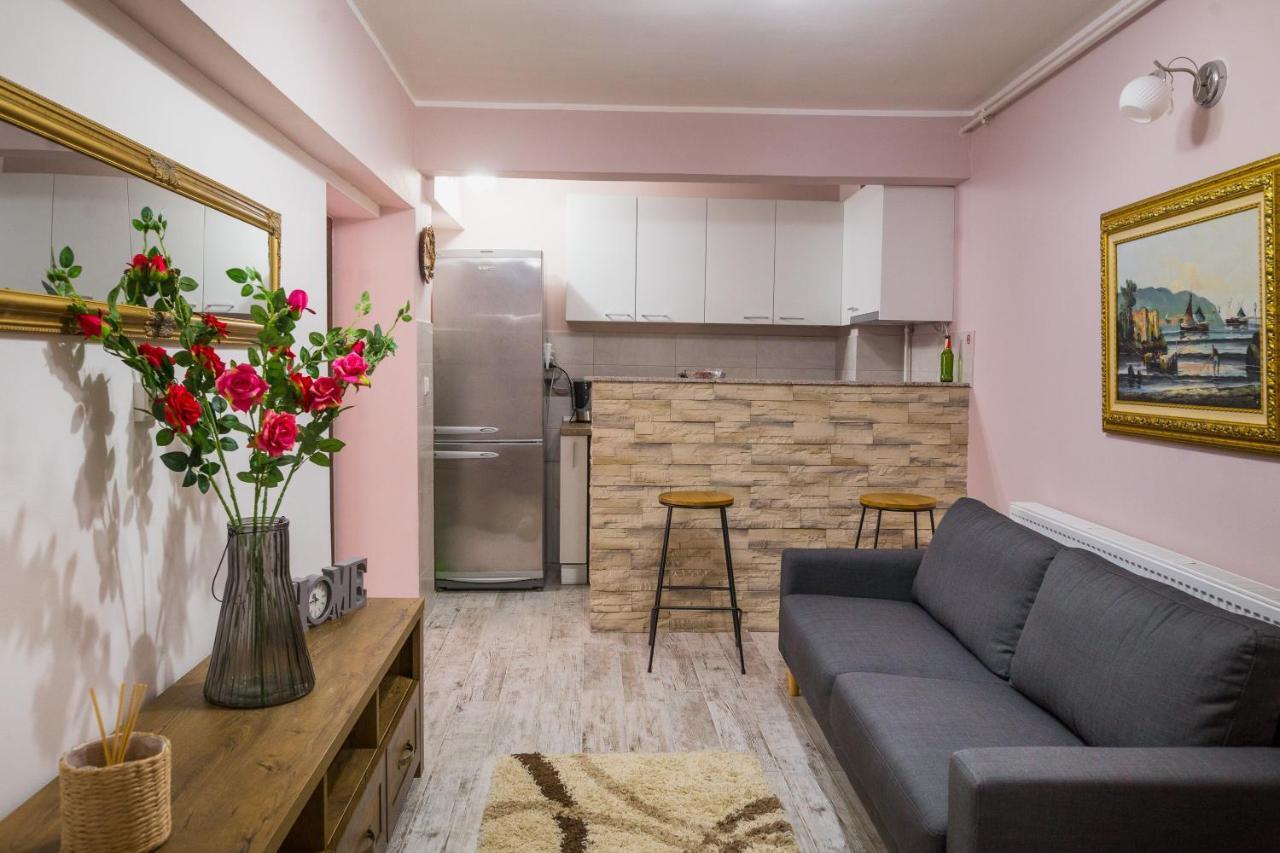 Alpin Central Studio Apartment Brasov Luaran gambar