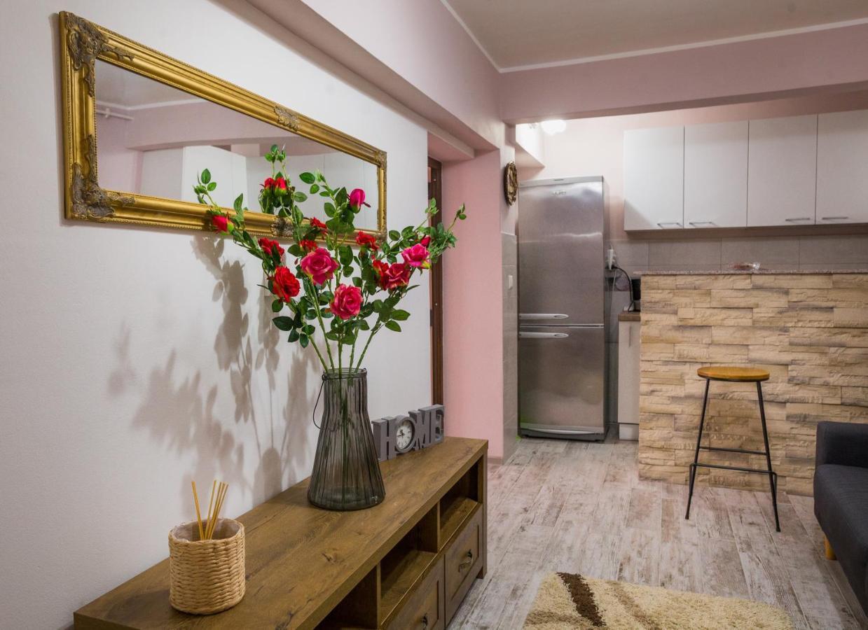 Alpin Central Studio Apartment Brasov Luaran gambar
