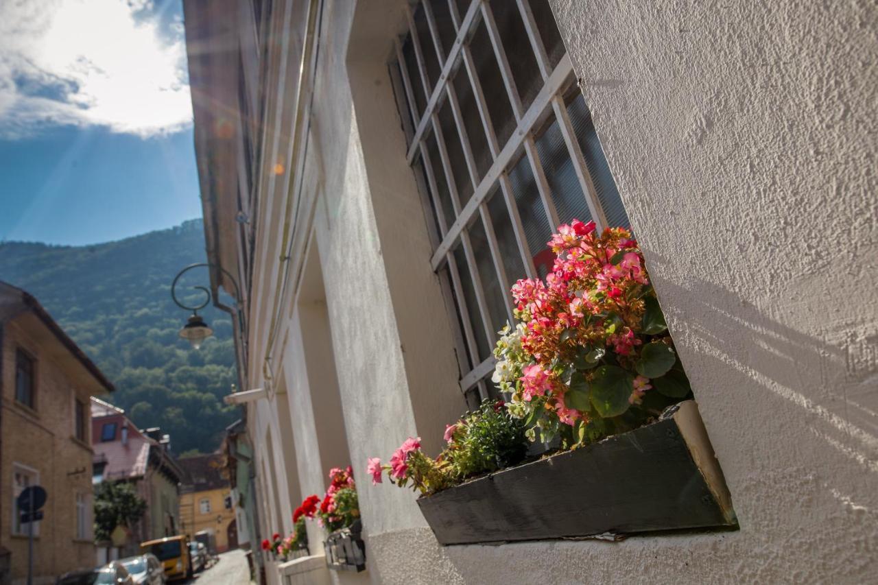 Alpin Central Studio Apartment Brasov Luaran gambar